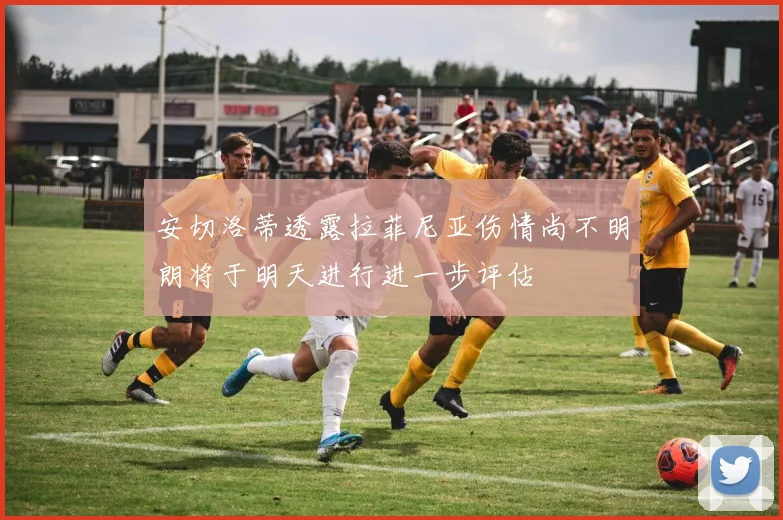 安切洛蒂透露拉菲尼亚伤情尚不明朗将于明天进行进一步评估